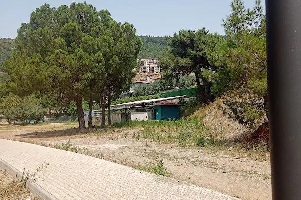 Hasanağa Kadınlar Plajı - Resim 17