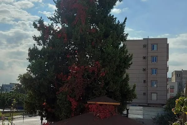 Nizip Öğretmenevi - Resim 15