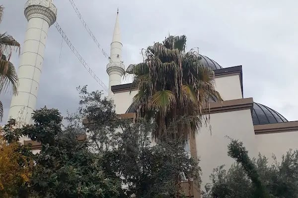 Aliş Cami - Resim 17