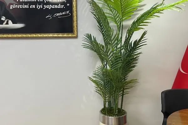 İrem çiçekçilik - Resim 3