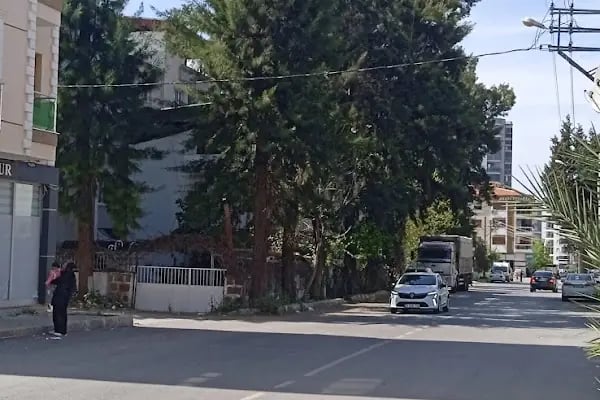 Buca Belediyesi Park Ve Bahçeler Müdürlüğü - Resim 6