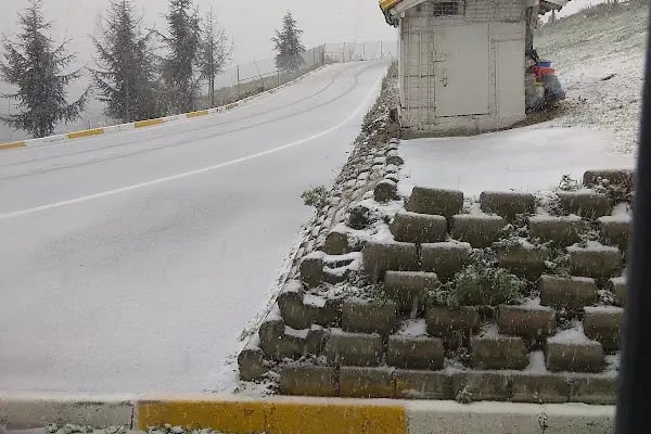 Bağcılar Hayvan Barınağı ve Müşahade Merkezi - Resim 7