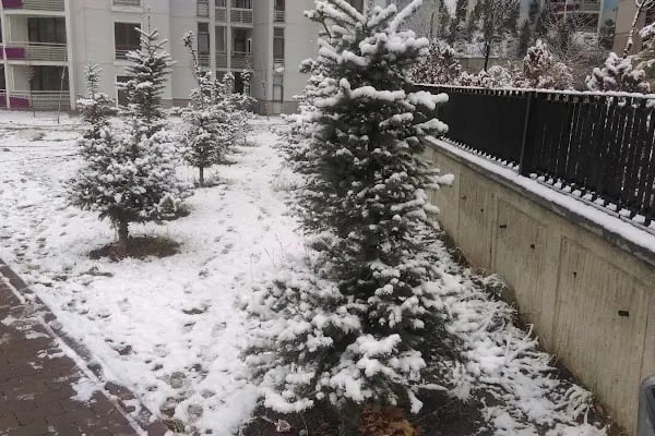 Nuri Pakdil Anadolu Lisesi - Resim 11