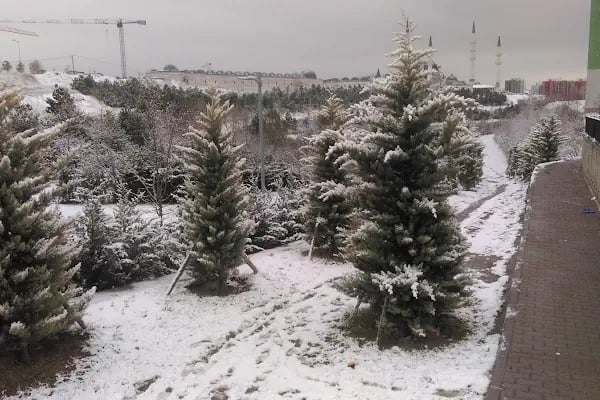 Nuri Pakdil Anadolu Lisesi - Resim 5