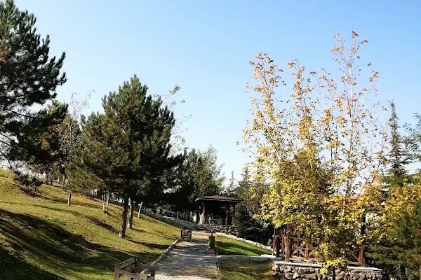 Belsin Yüzme Havuzu Ve Sosyal Tesisleri - Resim 12