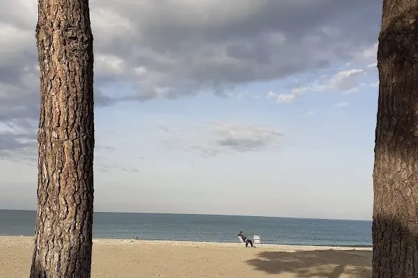 Kocaali Seyir Terası - Resim 5