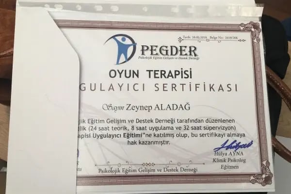 Psk. Zeynep Aladağ, Psikoloji - Resim 11