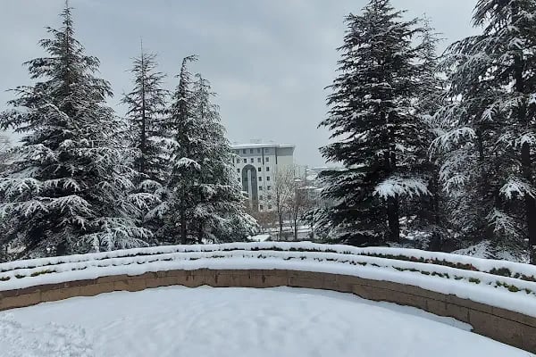 Ankara Eğitim ve Araştırma Hastanesi, Erişkin Acil Servisi - Resim 10