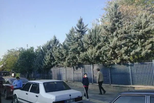 Ankara Eğitim ve Araştırma Hastanesi, Erişkin Acil Servisi - Resim 16