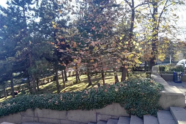 Ankara Eğitim ve Araştırma Hastanesi, Erişkin Acil Servisi - Resim 12