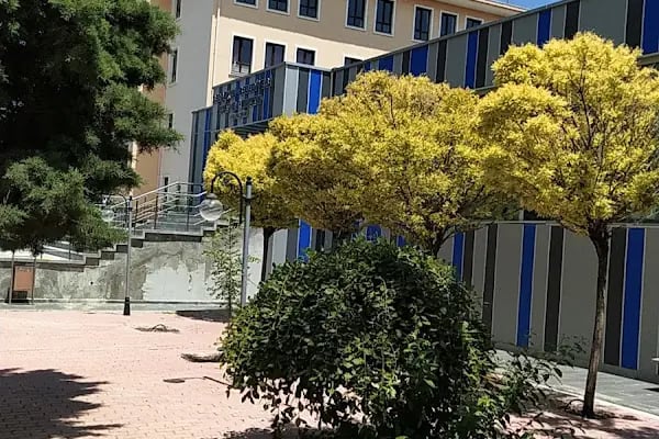 SELÇUKLU BELEDİYESİ BEYHEKİM YÜZME HAVUZU - Resim 6