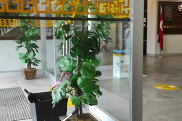 Ukla Academy İngilizce Almanca Dil Kursu - Resim 19
