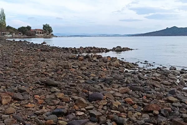Paterica Bıyıklı Beach - Resim 14
