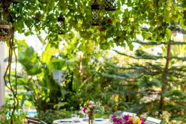 Esperanza Boutique Hotel of Lykia - Resim 18