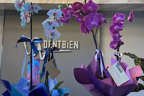 Dentbien Ağız ve Diş Sağlığı Polikliniği / Ataşehir İmplant Diş Kliniği - Resim 10