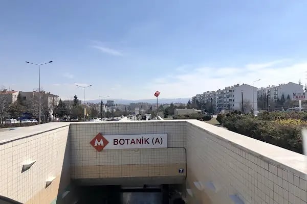 Botanik - Resim 3