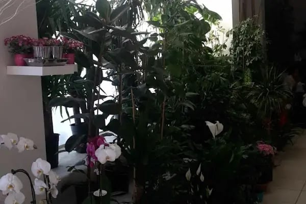 İkebana Çiçekçilik Peyzaj Organizasyon Dekorasyon - Resim 15