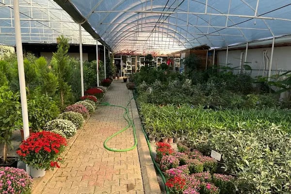 İkebana Çiçekçilik Peyzaj Organizasyon Dekorasyon - Resim 10