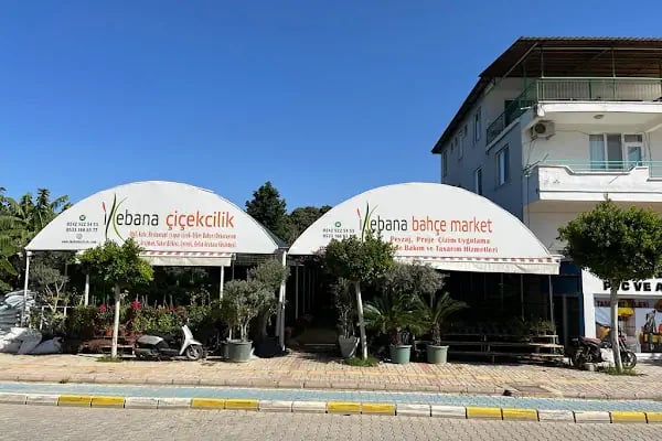 İkebana Çiçekçilik Peyzaj Organizasyon Dekorasyon - Resim 6