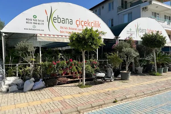 İkebana Çiçekçilik Peyzaj Organizasyon Dekorasyon - Resim 7