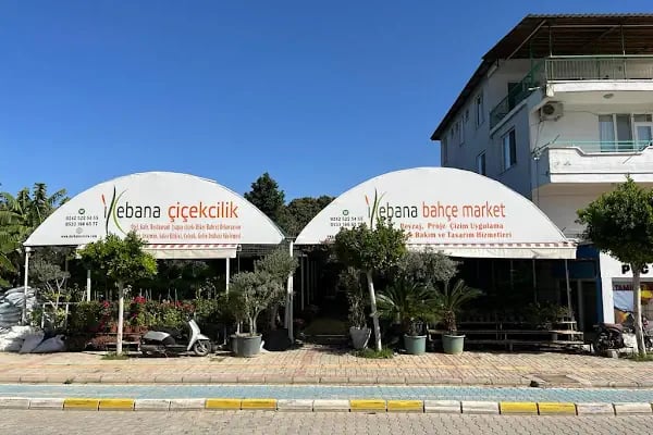 İkebana Çiçekçilik Peyzaj Organizasyon Dekorasyon - Resim 2