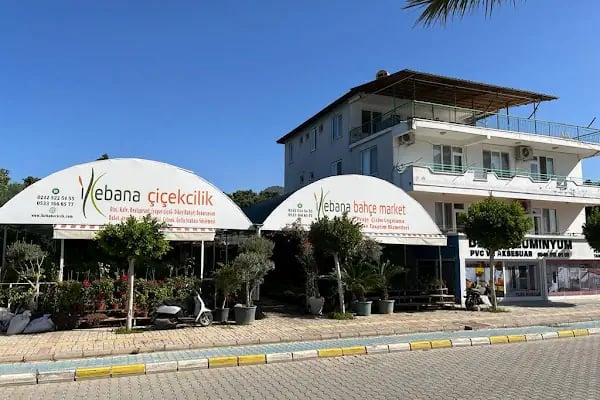 İkebana Çiçekçilik Peyzaj Organizasyon Dekorasyon - Resim 5