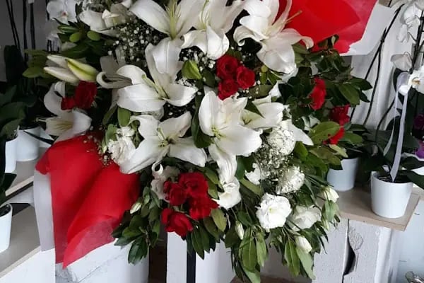 Rose çiçekçilik Avcılar - Resim 1