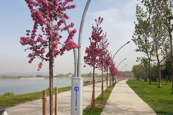 Darıca Balyanoz Koyu Sahil Parkı - Resim 13