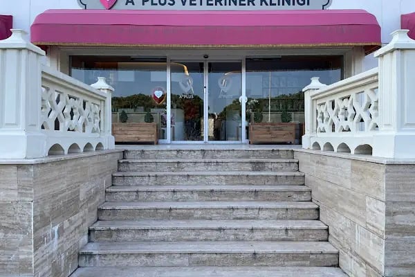 A Plus Veteriner Kliniği - Resim 1