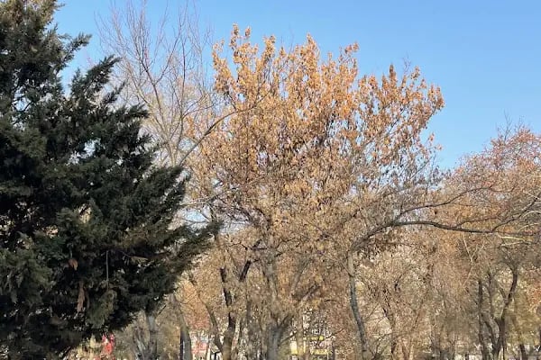 Kızılay-Keçiören Metro İstasyonu - Resim 3