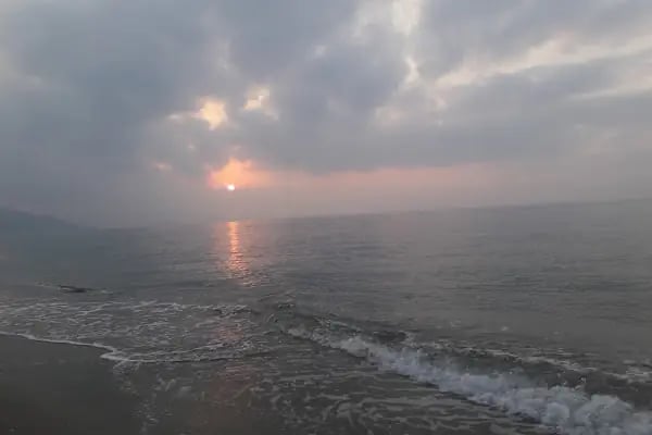 unluselek beach club - Resim 6