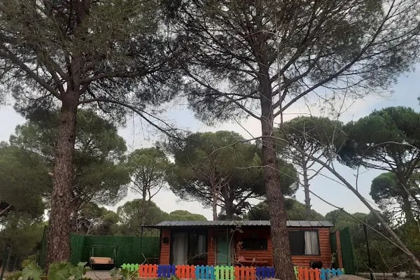 Kozalak Bungalov Bergama Kozak - Resim 20