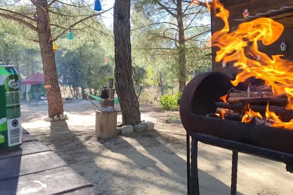Kozalak Bungalov Bergama Kozak - Resim 15