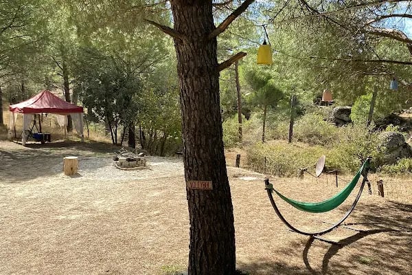 Kozalak Bungalov Bergama Kozak - Resim 14