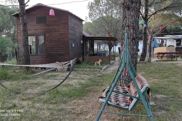 Kozalak Bungalov Bergama Kozak - Resim 7