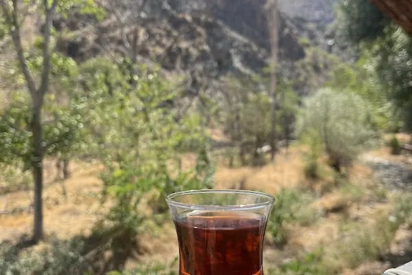 Taş Degirmen Kahvaltı ve canlı Alabalık - Resim 16