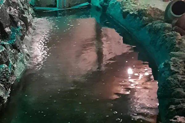 Taş Degirmen Kahvaltı ve canlı Alabalık - Resim 19