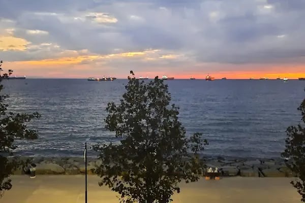 VİP ARAÇ KİRALAMA ÖZYURT TURIZM - Resim 13