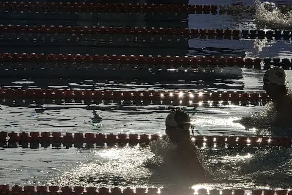 Antalya Olimpik Yüzme Havuzu - Resim 19