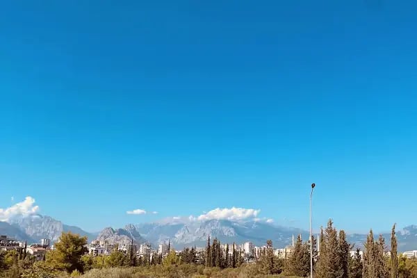 Antalya Olimpik Yüzme Havuzu - Resim 14