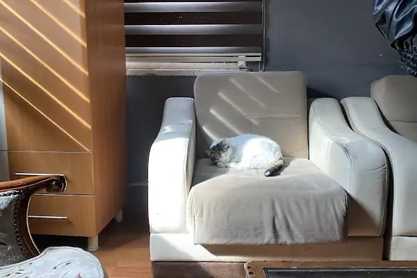 Thescape Korku Evi ve Evden Kaçış Oyunu (Bahçelievler) - Resim 17