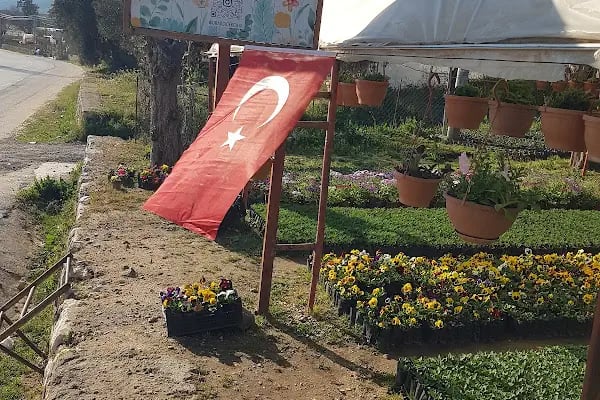 URAS ÇİÇEKÇİLİK - Resim 3