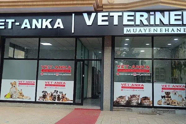 VET - ANKA Veteriner Kliniği ŞEHİTKAMİL İBRAHİMLİ - Resim 14