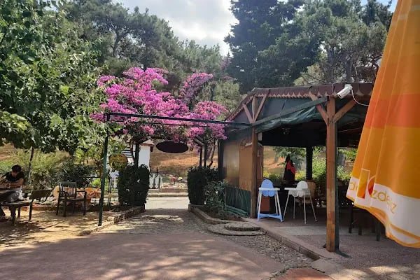 Değirmen Restaurant - Resim 8