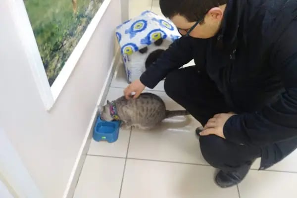 Arnavutköy Veteriner Kliniği - Resim 11