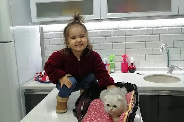 Narlıdere Veteriner Kliniği - Resim 5