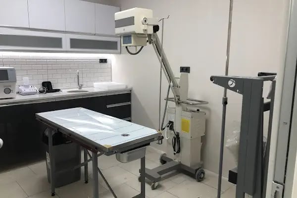 Narlıdere Veteriner Kliniği - Resim 6