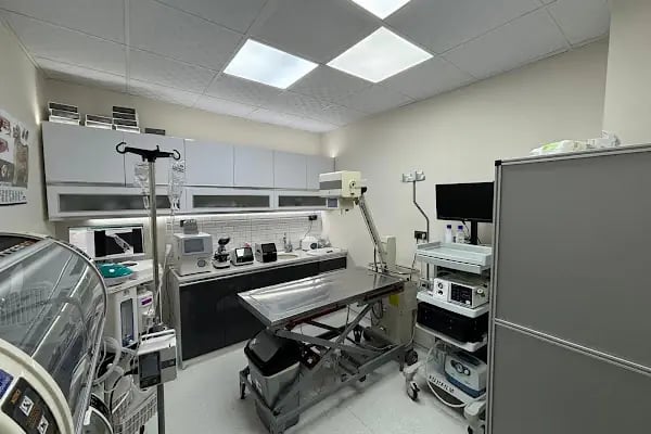 Narlıdere Veteriner Kliniği - Resim 10