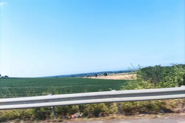 Samsun İli Kent Ormanı - Resim 10