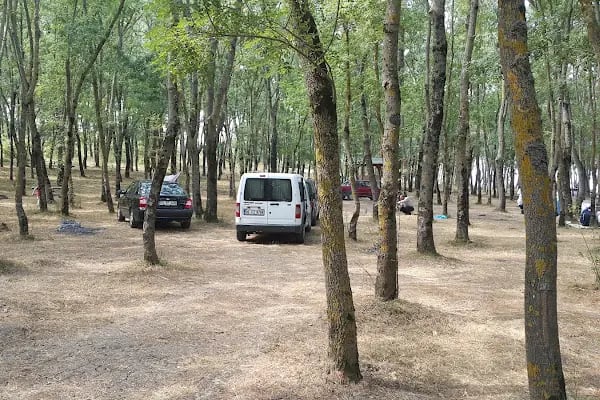 Samsun İli Kent Ormanı - Resim 1